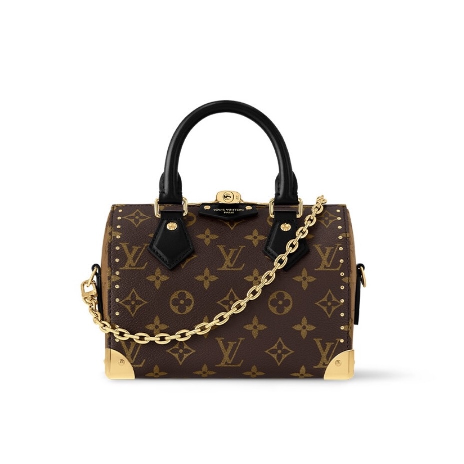 LV Speedy Trunk 20 Medium Cowhide Replica Bags Louis Vuitton